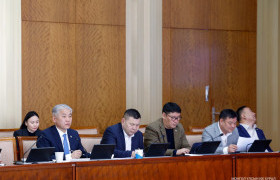 Гурилыг импортын албан татвараас чөлөөлснийг болиулах хуулийн төсөл Төсвийн байнгын хороогоор дэмжигдлээ