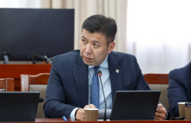Б.Энхбаяр: Бүтэн жил, 2 чуулганы хугацаанд УИХ "Чоно алах тухай" ганцхан бие даасан хууль баталсан нь үр дүн гаргадаггүй олон ажлын хэсэг байгуулснаас үүдсэн