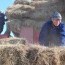 Гурилыг импортын албан татвараас чөлөөлснийг болиулах хуулийн төсөл Төсвийн байнгын хороогоор дэмжигдлээ