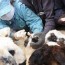 “Тогтоолд нэмэлт, өөрчлөлт оруулах тухай” тогтоолын төслийн эцсийн хэлэлцүүлгийг хийлээ