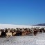 Үндсэн хуульд заасан үзэл бодлоо илэрхийлэх, хэвлэн нийтлэх эрх чөлөө бодитоор хэрэгжих шаардлагатай