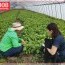 Хүлэмжийн аж ахуй эрхлэгч өөрийн амьдардаг хороондоо 10 гаруй ажлын байр шинээр бий болгожээ