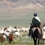 Ж.Сүхбаатар: Сануулах шийтгэлийг дэмжихгүй байна