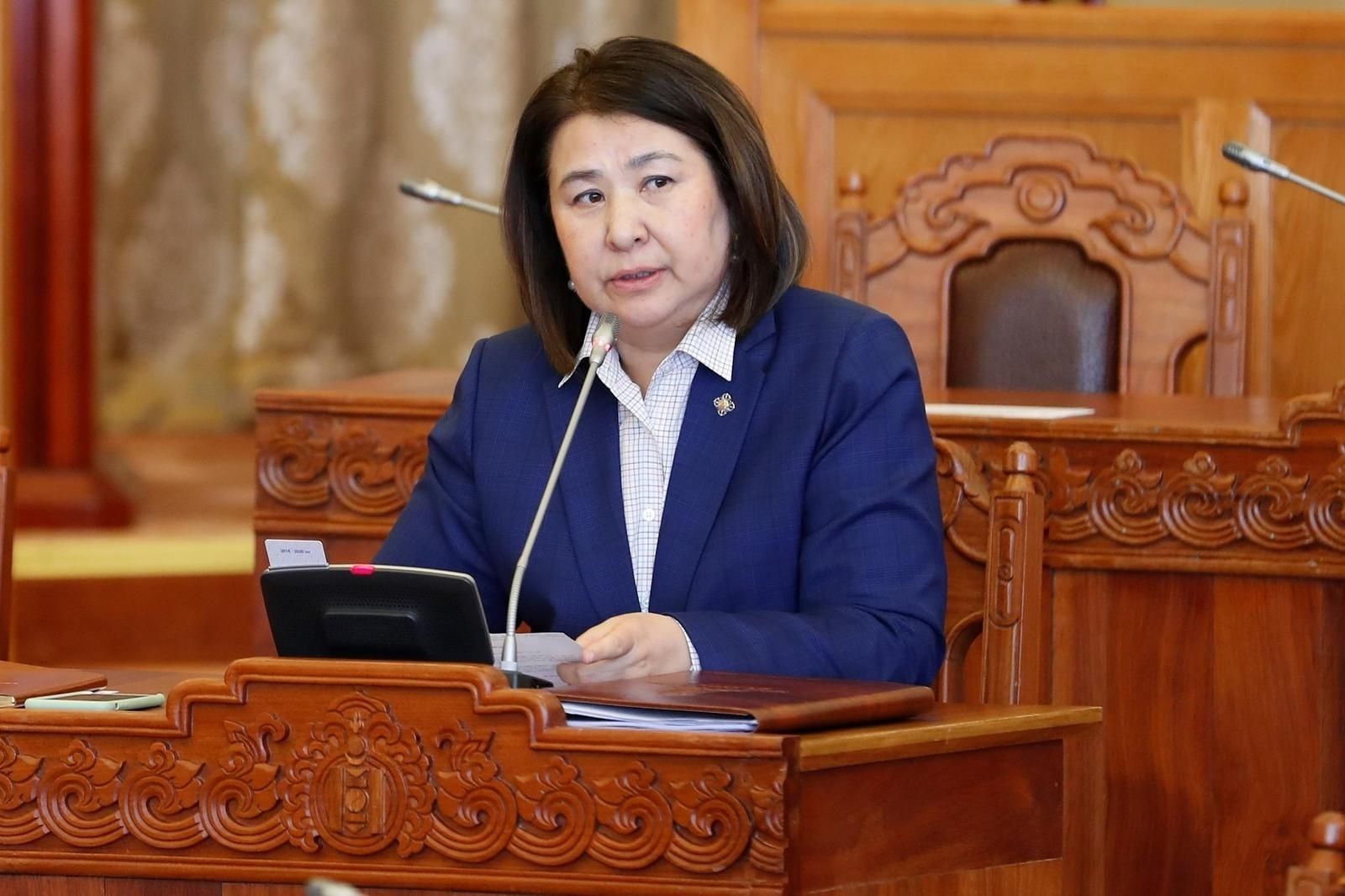 Ц.Гарамжав: Яагаад ашигтай замуудыг гадаадын компаниудад өгч байгаа вэ?