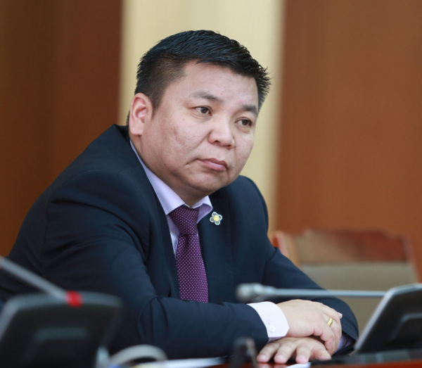 "Тавантолгойн орд газарт хууль бусаар нүүрс олборлож, хилээр гаргасан нөхцөл байдлыг шалгах явцын талаар" тавьсан асуулга